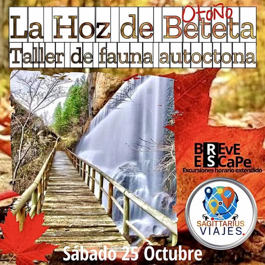 Excursion a Cuenca